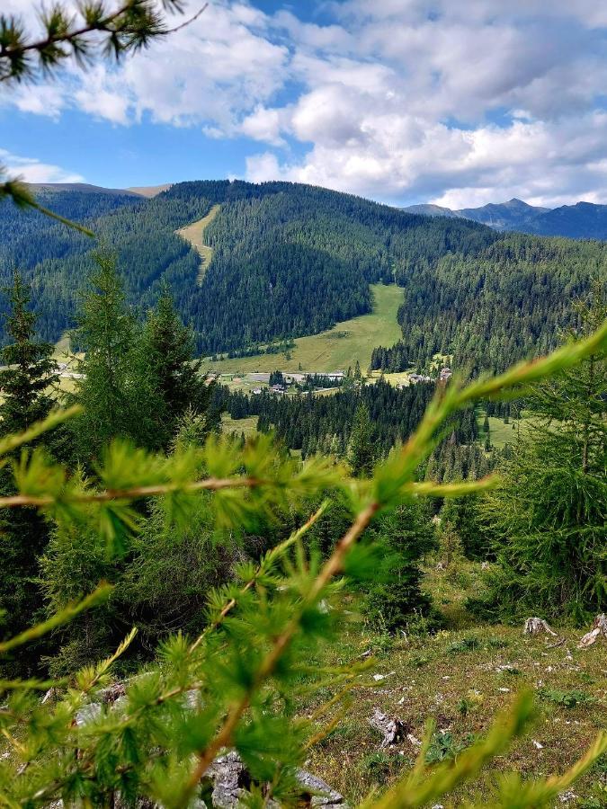Almhaus Kaernten Flattnitz Luaran gambar